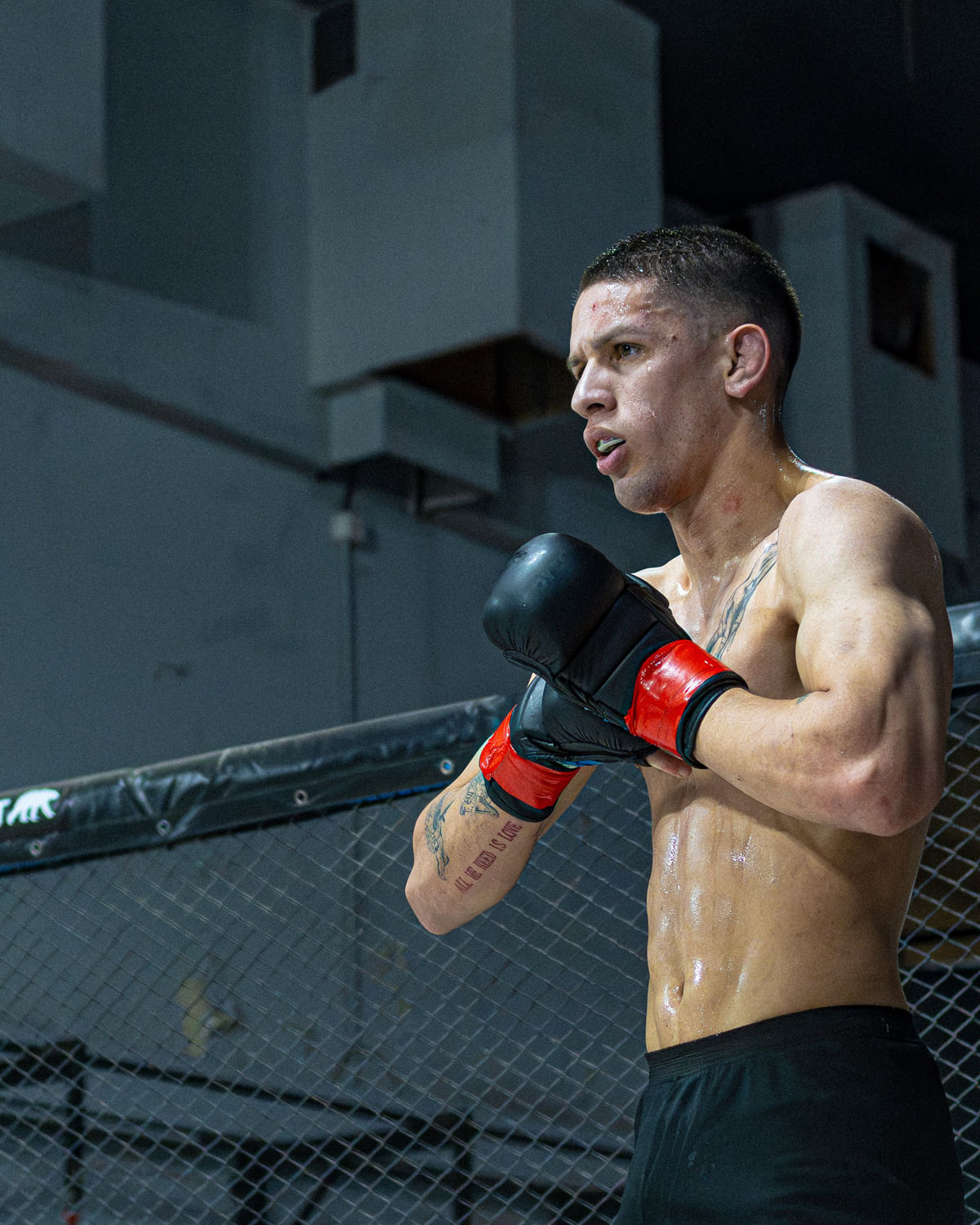 MMA — travail technique au club